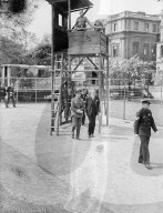 Glass plate mono negative