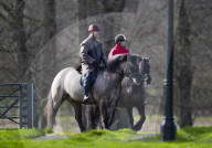 ROYALS - Prinz Edward und seine Tochter Lady Louise reiten in den frühen Morgenstunden zum Schloss Windsor