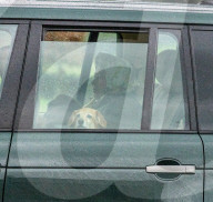 ROYALS - Not amused: Queen Elizabeth wird aus Schloss Windsor ausgesperrt