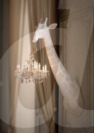 FEATURE -  4 Meter grosse Giraffe als Kronleuchter-Halter