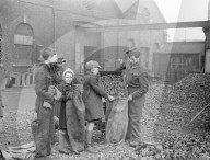 Glass plate mono negative