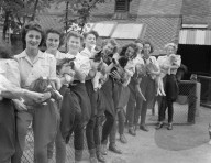 Glass plate mono negative