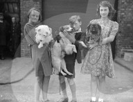 Glass plate mono negative