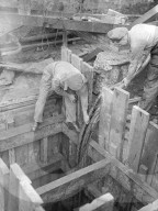 Glass plate mono negative