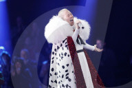PEOPLE - Stefanie Heinzmann als Dalmatiner in der 1. Live Show der 2. Staffel 'The Masked Singer'