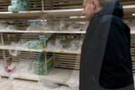 NEWS - Coronavirus: Panikkäufe in Gdansk, Polen