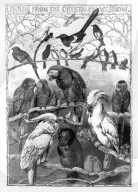 Mono Book Illustration