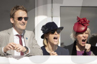 The Third  Day of the Cheltenham Festival