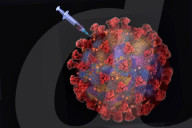 NEWS - Coronavirus: Suche nach einem Impfstoff - Symbolbild