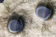 Eyam recalls lessons from 1665 battle with plague. Coronavirus crisis has powerful echoes in the Derbyshire village that once self-isolated to save others 