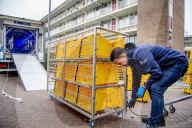NEWS - Coronavirus: Reinigung von Einkaufskörben in Rotterdam