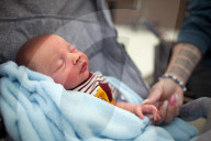 'People don't get it': inside the world of hyper-realistic baby doll collecting.  A subculture of lifelike baby dolls is thriving on social media – despite enthusiasts being dismissed as grown women playing mommy.