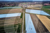 NEWS - Coronavirus: Spargel- und Erdbeerfelder in D - Es wird schwierig für Landwirte ausländische Erntehelfer zu bekomme