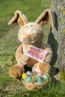 NEWS - Coronavirus: Symbolfoto Ostern und Corona