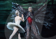 Performing arts