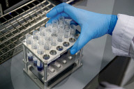 NEWS - Coronavirus: AMitarbeiter des Microvida-Labor in Roosendaal testen bis zu 500 Proben am Tag