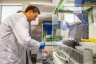 NEWS - Coronavirus: AMitarbeiter des Microvida-Labor in Roosendaal testen bis zu 500 Proben am Tag
