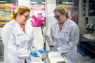 NEWS - Coronavirus: AMitarbeiter des Microvida-Labor in Roosendaal testen bis zu 500 Proben am Tag