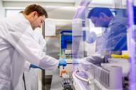 NEWS - Coronavirus: AMitarbeiter des Microvida-Labor in Roosendaal testen bis zu 500 Proben am Tag