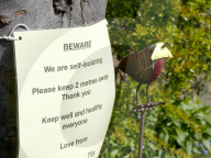 Coronavirus self isolation London 