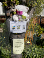 Coronavirus self isolation London 