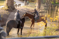 NEWS - Coronavirus: Frühling in München - Polizei im Englischen Garten