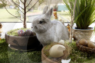 FEATURE - Hase Horst bereitet sich auf das Osterfest vor