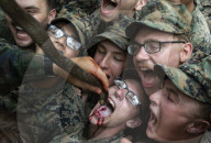 FEATURE - U.S. Marines trinken Kobrablut beim Dschungeltraining (MÃ¤rz 2020)