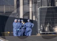 NHS Nightingale, Custom House