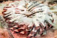 'Our worst-case scenario is Britain's too': German fears for fishing industry. At a herring processing plant in Rügen, continued access for trawlers to British waters is crucial for the business to survive.
