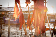 'Our worst-case scenario is Britain's too': German fears for fishing industry. At a herring processing plant in Rügen, continued access for trawlers to British waters is crucial for the business to survive.