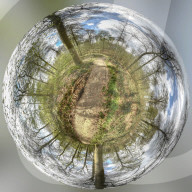 NEWS - Coronavirus: Alleine spazieren im Wald