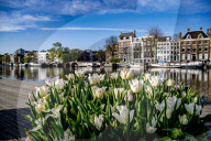 NEWS - Coronavirus: Frühling in Amsterdam zu Zeiten von Corona