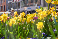 NEWS - Coronavirus: Stadtansichten aus München
