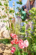 NEWS - Trockenheit zwingt Gartenbesitzer zum Giessen