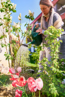 NEWS - Trockenheit zwingt Gartenbesitzer zum Giessen