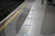 Mouse on empty tube platform during London lockdown