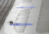 Mouse on empty tube platform during London lockdown