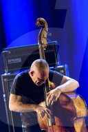 Avishai Cohen