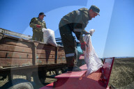 NEWS - Beginn der Frühjahrsaussaat in Russland