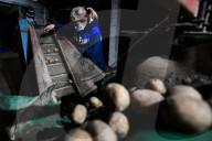 NEWS - Beginn der Frühjahrsaussaat in Russland