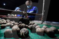 NEWS - Beginn der Frühjahrsaussaat in Russland