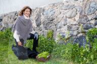 ROYALS - Königin Silvia und König Carl Gustaf spazieren mit Hund Brandie durch den Park von Schloss Stenhammar
