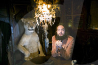 Museum of Curiosities