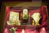 Museum of Curiosities