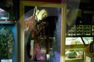 Museum of Curiosities