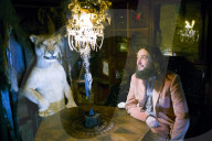 Museum of Curiosities