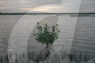 ‘We’ve been abandoned’: a decade later, Deepwater Horizon still haunts Mexico.