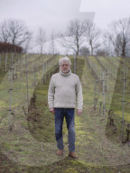 Wine cooler: global heating helps Sweden's vineyards to success