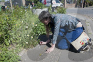 'Not just weeds': how rebel botanists are using graffiti to name forgotten flora